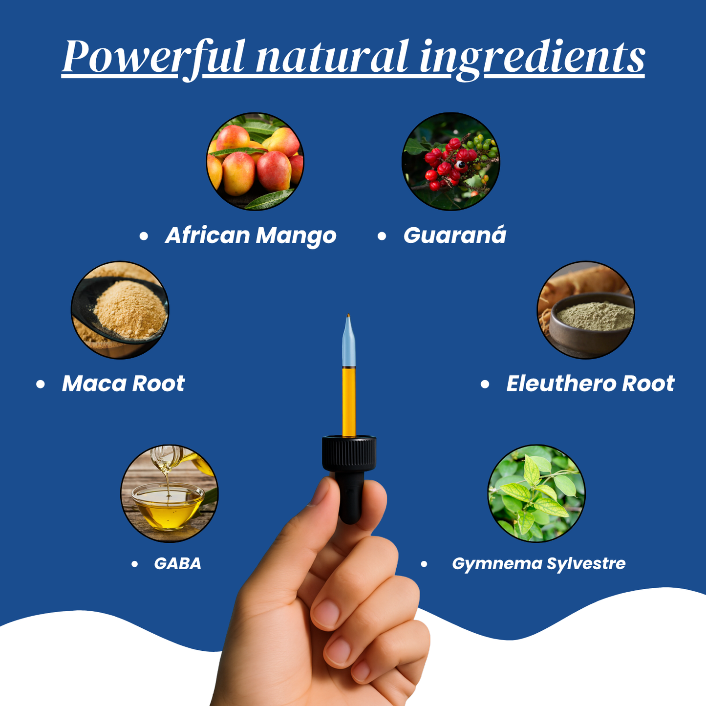 GlycoShield Drops - Natural Blood Sugar Support